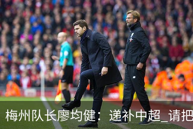 梅州队长廖均健：递补中超 请把我们当成广东队